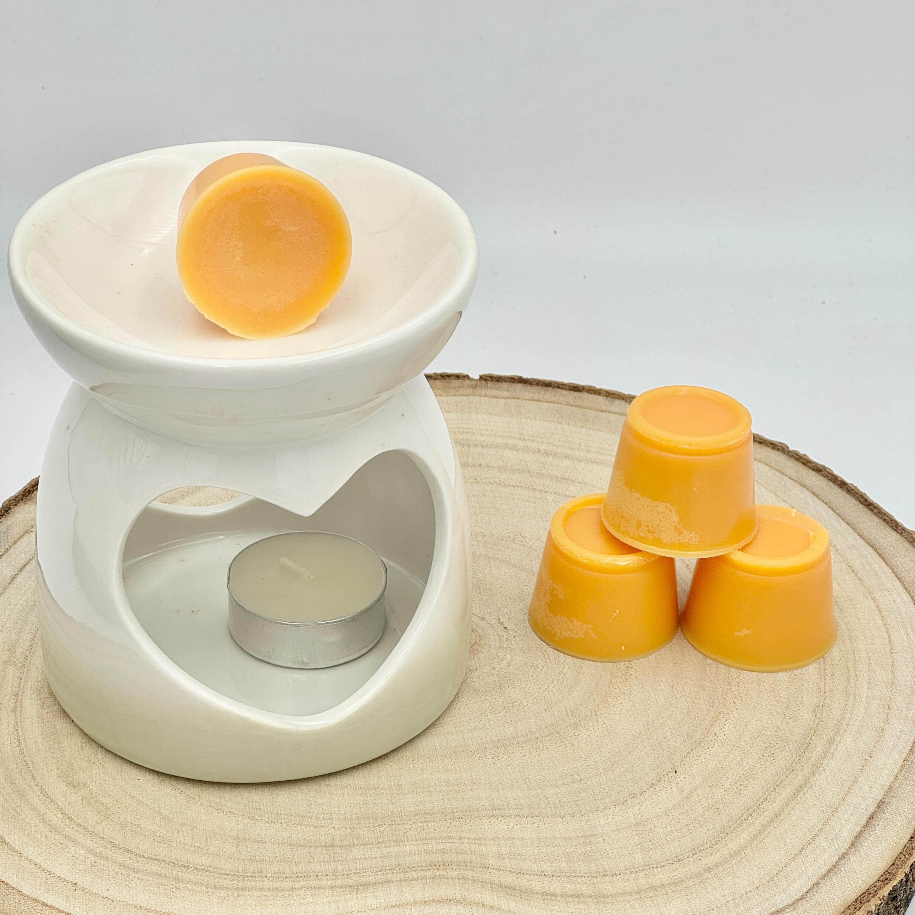 an image of mango peach salsa fragranced wax melts