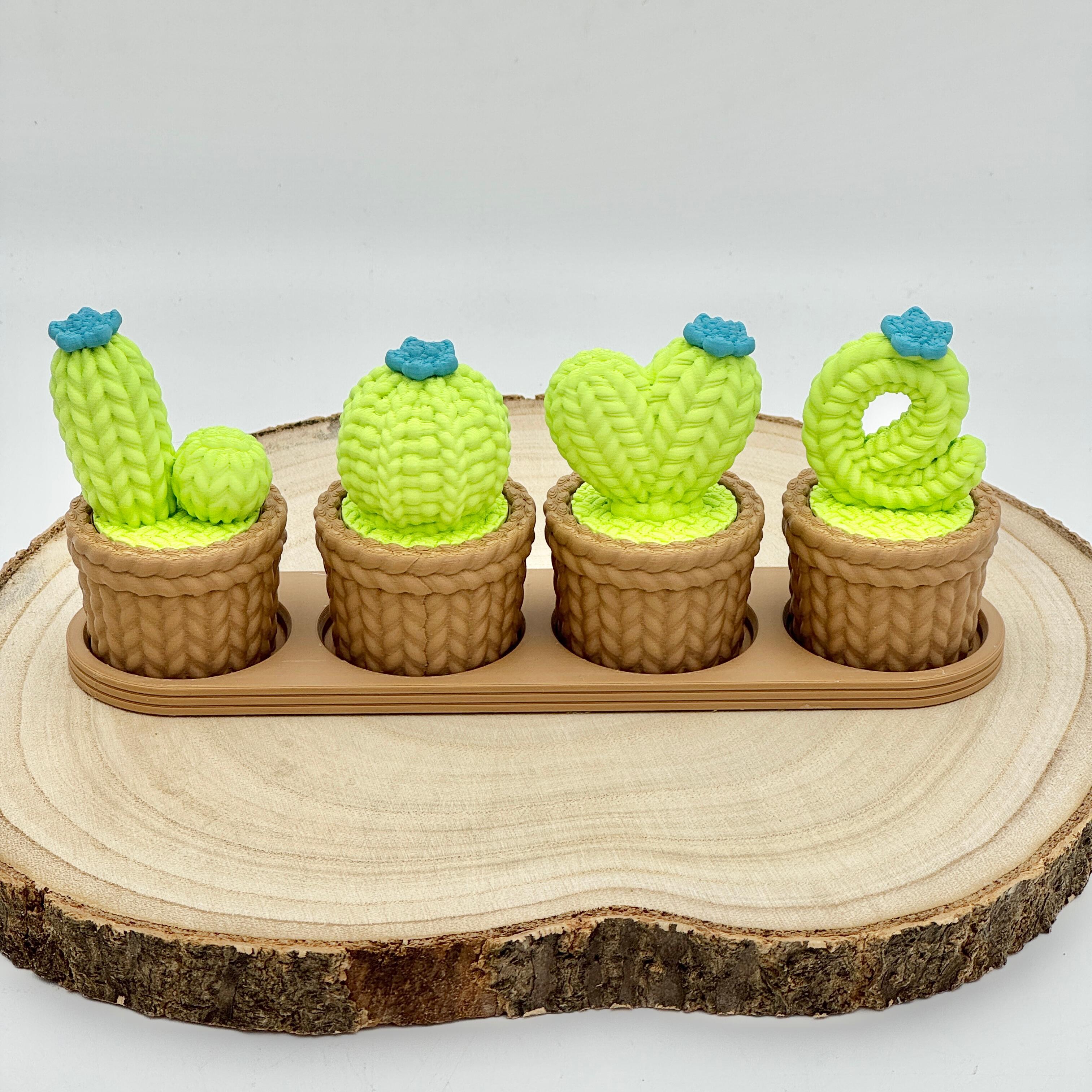 light green love cacti with blue flower