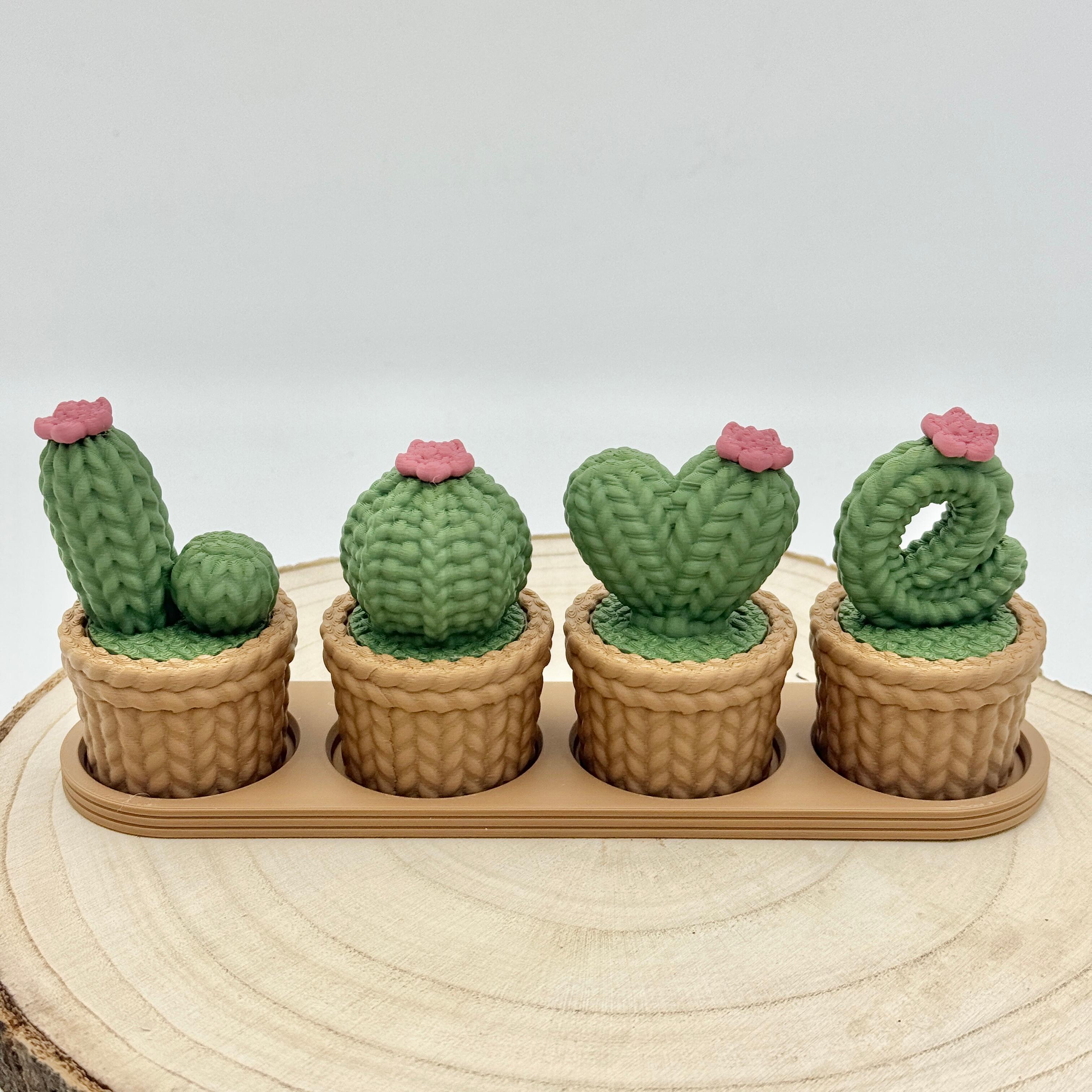 olive green love cacti with dusky pink flower