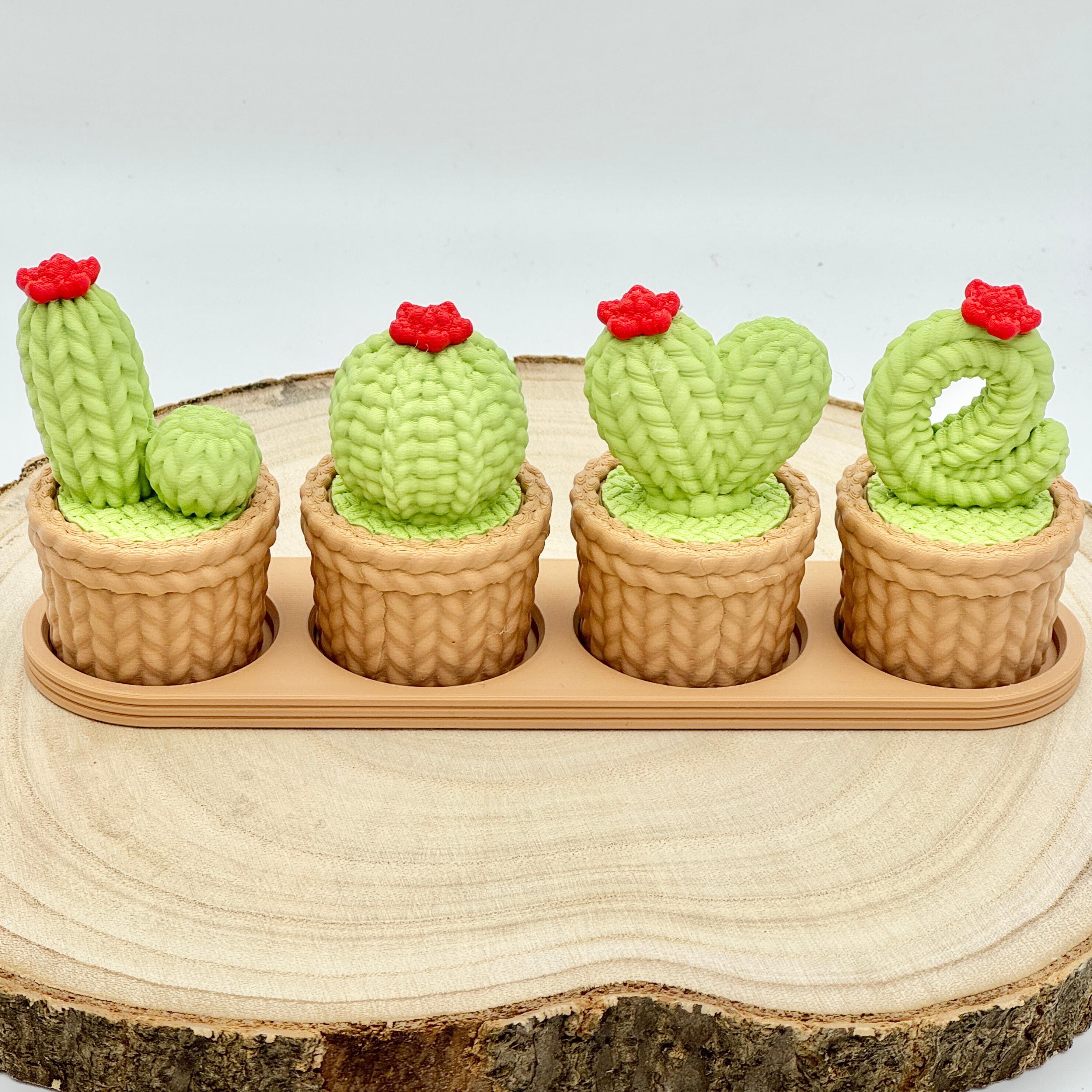 light green love cacti with red flower