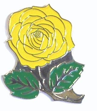 Shop Awards and Gifts Yellow Rose Flower Enamel Metal Lapel Pin, Retro Pins for Clothes, Bulk Pack of 12, Poly Bagged, 7/8 inch