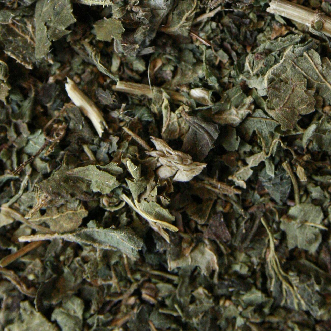 nettle leaf 1