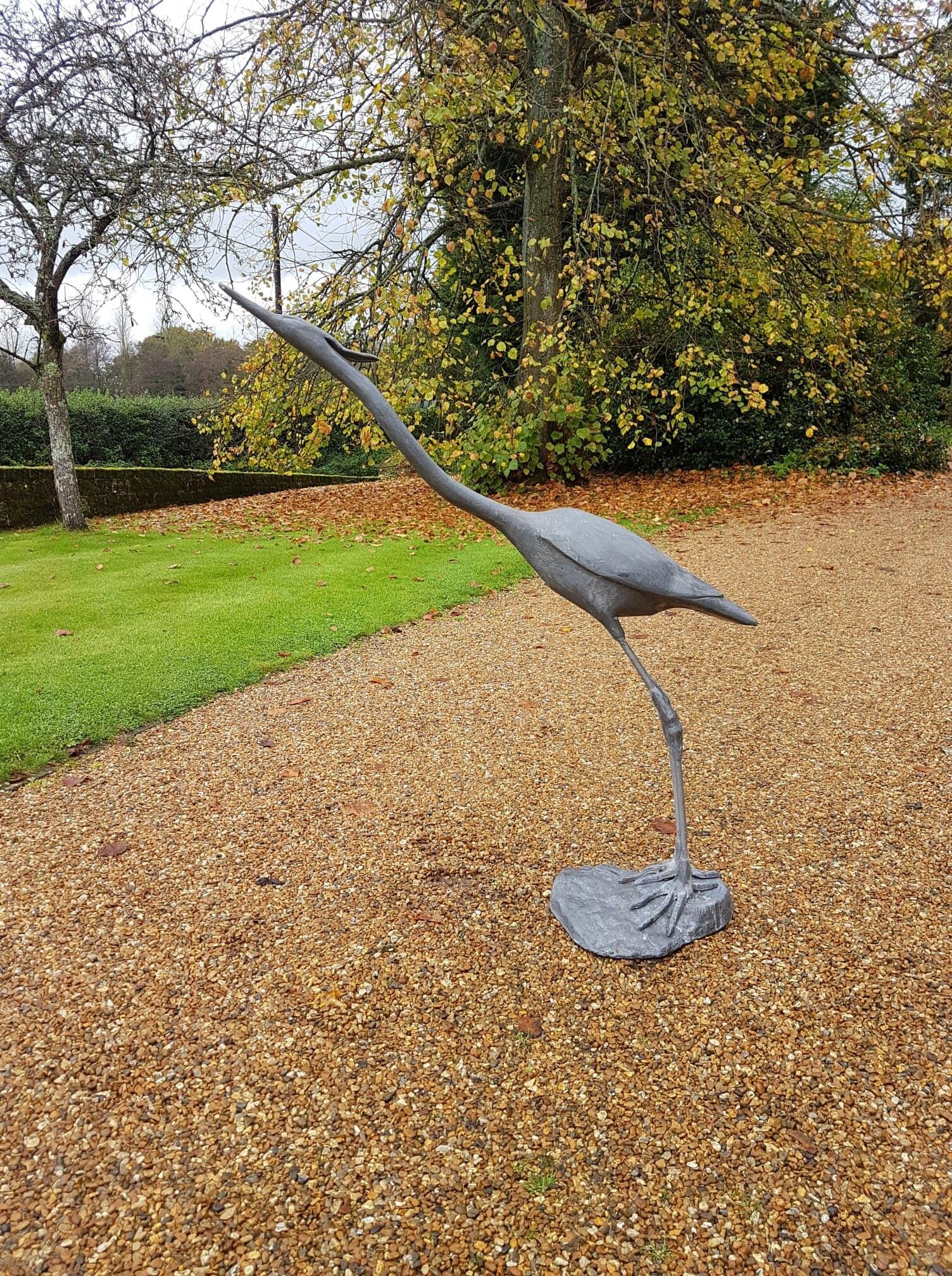 Lead Heron standing tall on a gravel path with wooded back ground