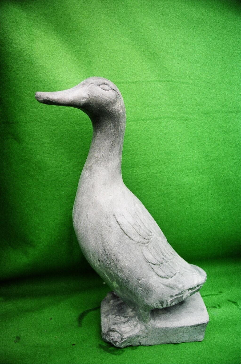 Standing lead duck sculpture with a green back ground