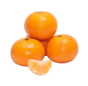 Large Nadorcotts