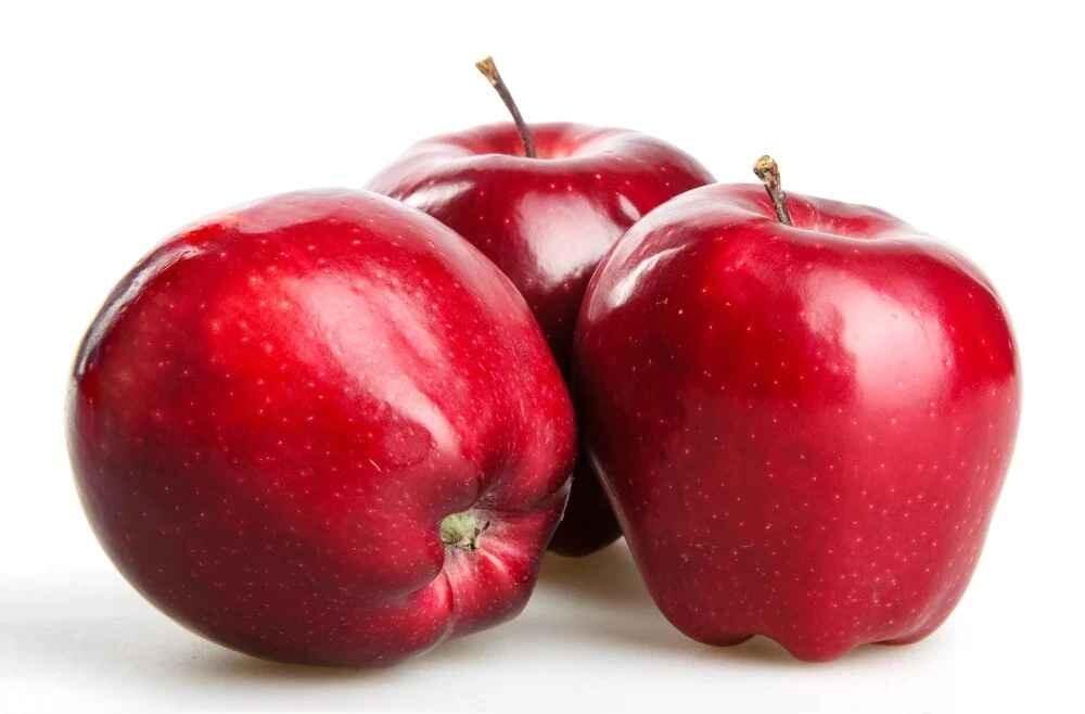 Red Chief Apples Information and Facts