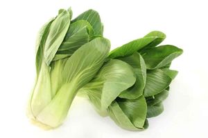 Pak Choi Vegetable