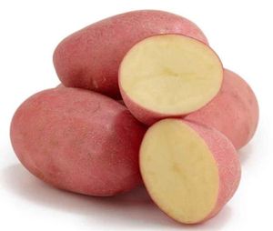 Mozart Red Potatoes