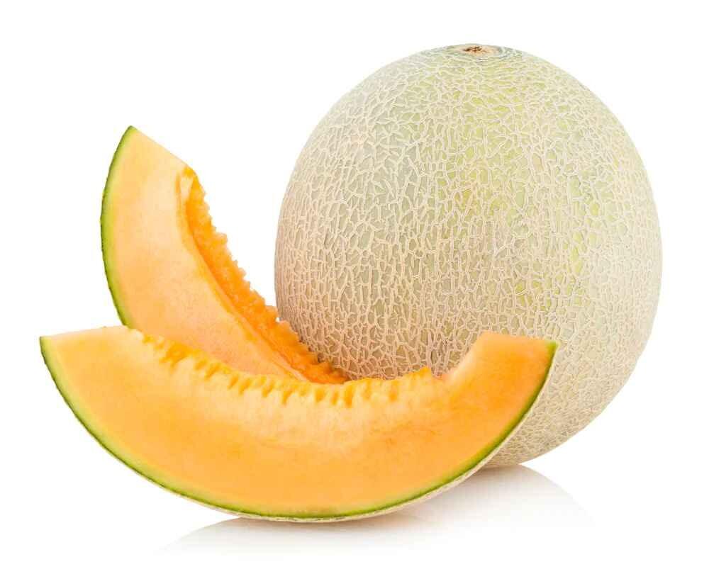 Cantaloupe fruit hot sale