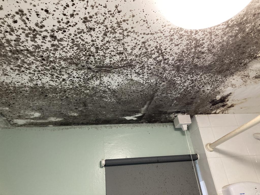 Ministry of Mould