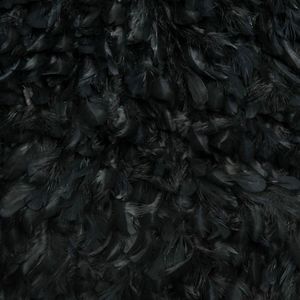 James Hare Feather Georgette Black