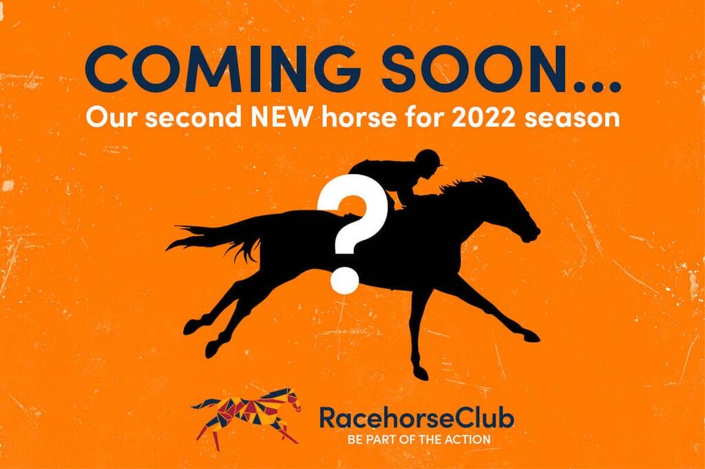 Another NEW horse joins RacehorseClub for 2022