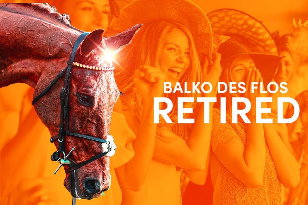 Balko Des Flos retired from racing