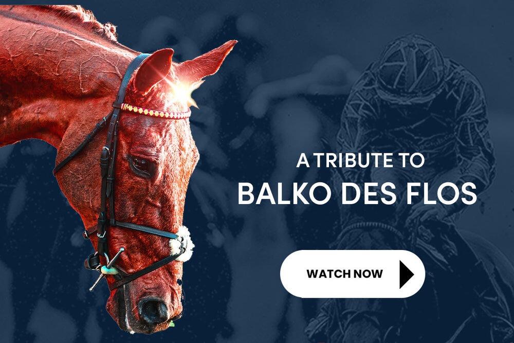 A tribute to Balko Des Flos