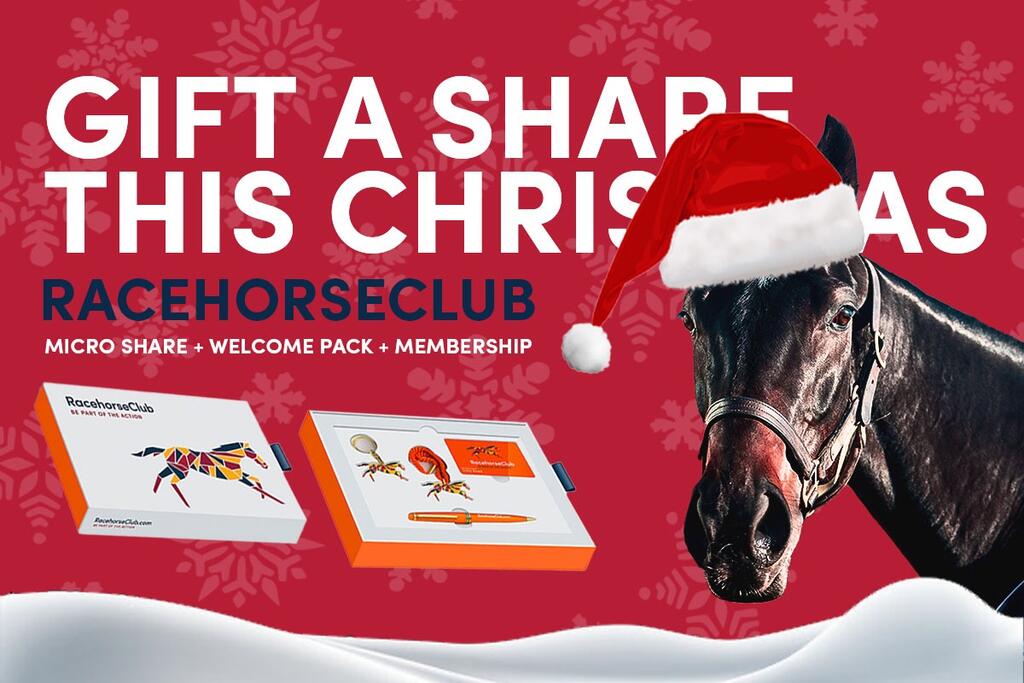 It's nearly Christmas 2023! Not too late to give the gift of racehorse ownership!