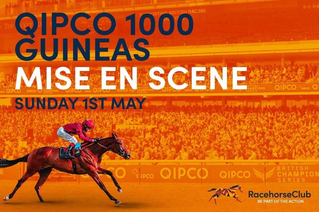 Fancy QIPCO 1000 Guineas race horse shares?