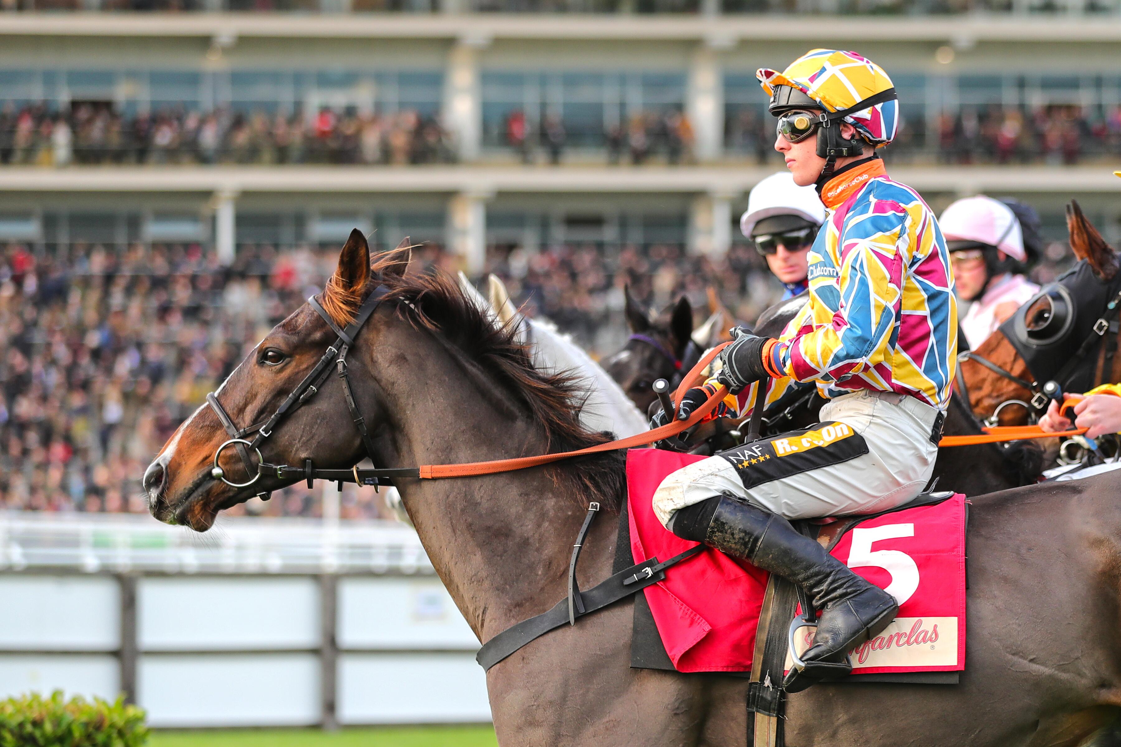 Buy A Share In A Racehorse Horseracing Shares