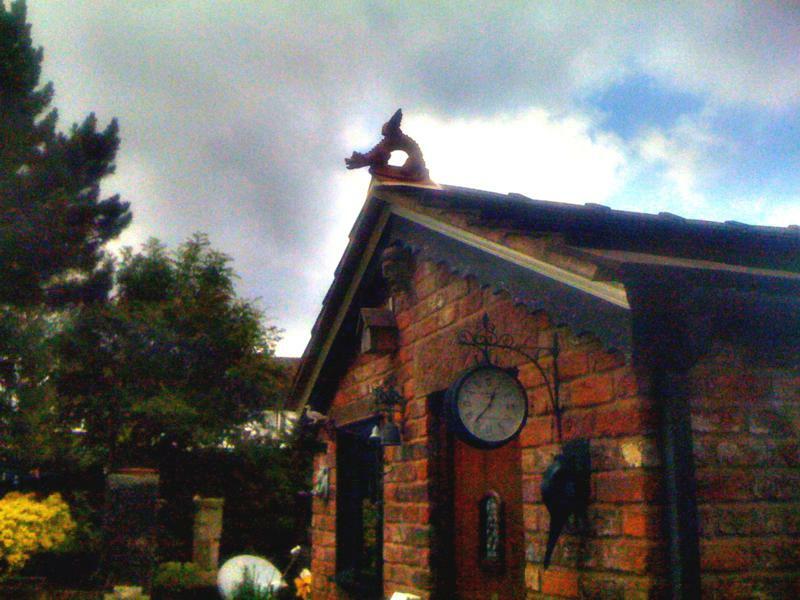 Garden shed roof dragon