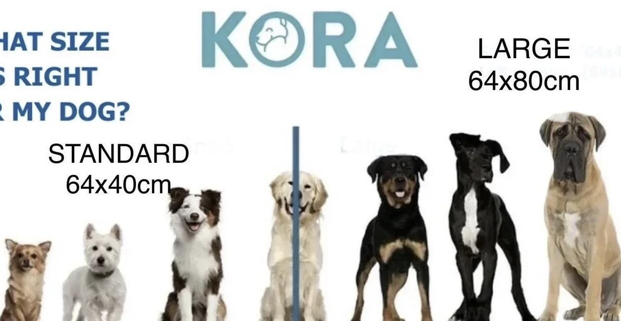 KoraSPORT PEMF mat and targeted applicator system