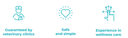 Kora PEMF therapy benefits graphic