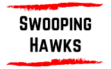Swooping Hawks