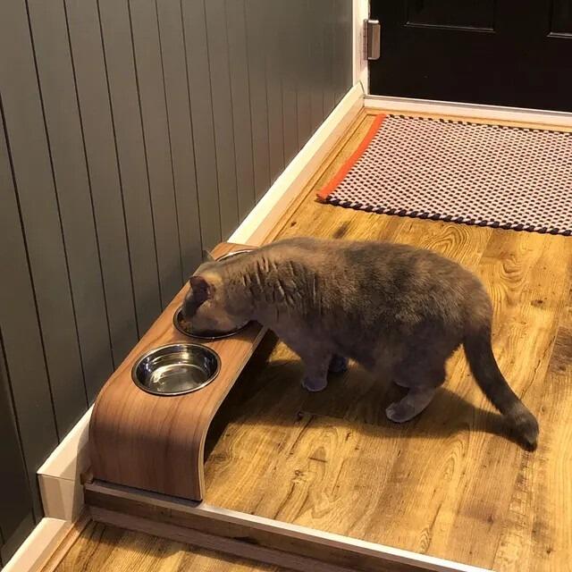 PURRRRFECT