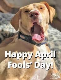 Happy April Fools Day