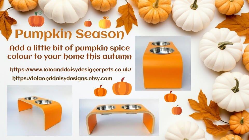 Pumpkin Season