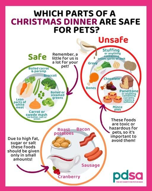 Pet health at Christmas