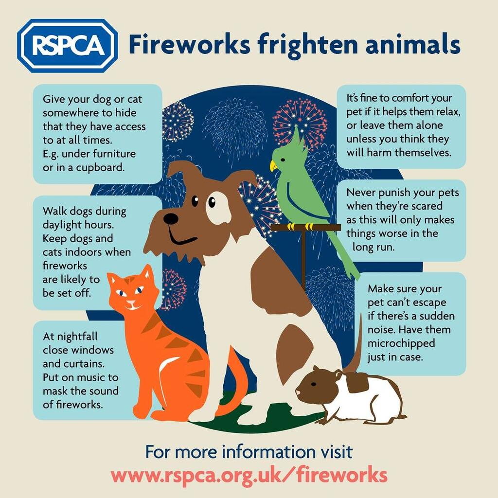 Guy Fawkes and firework advice