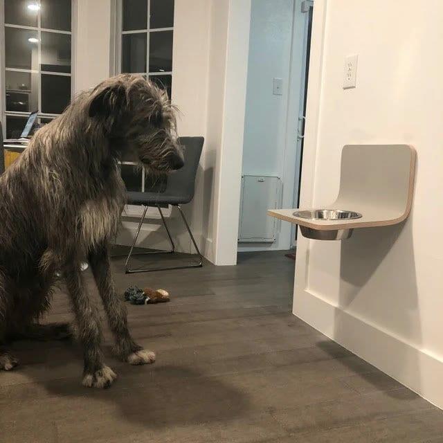 Wall mount dog feeder best sale