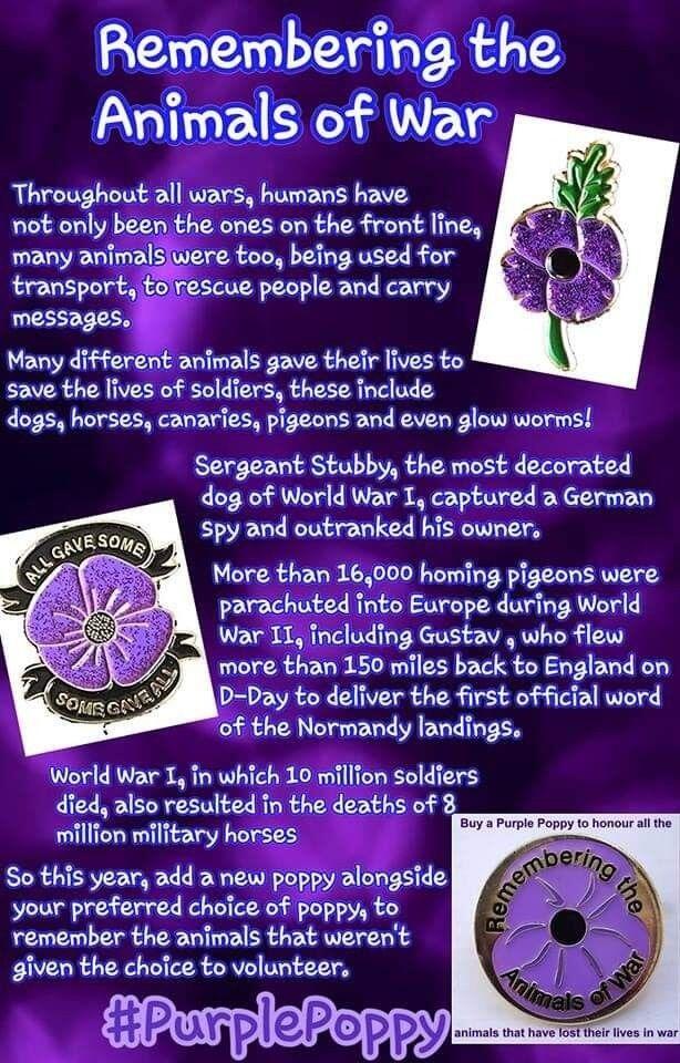 Lest we forget