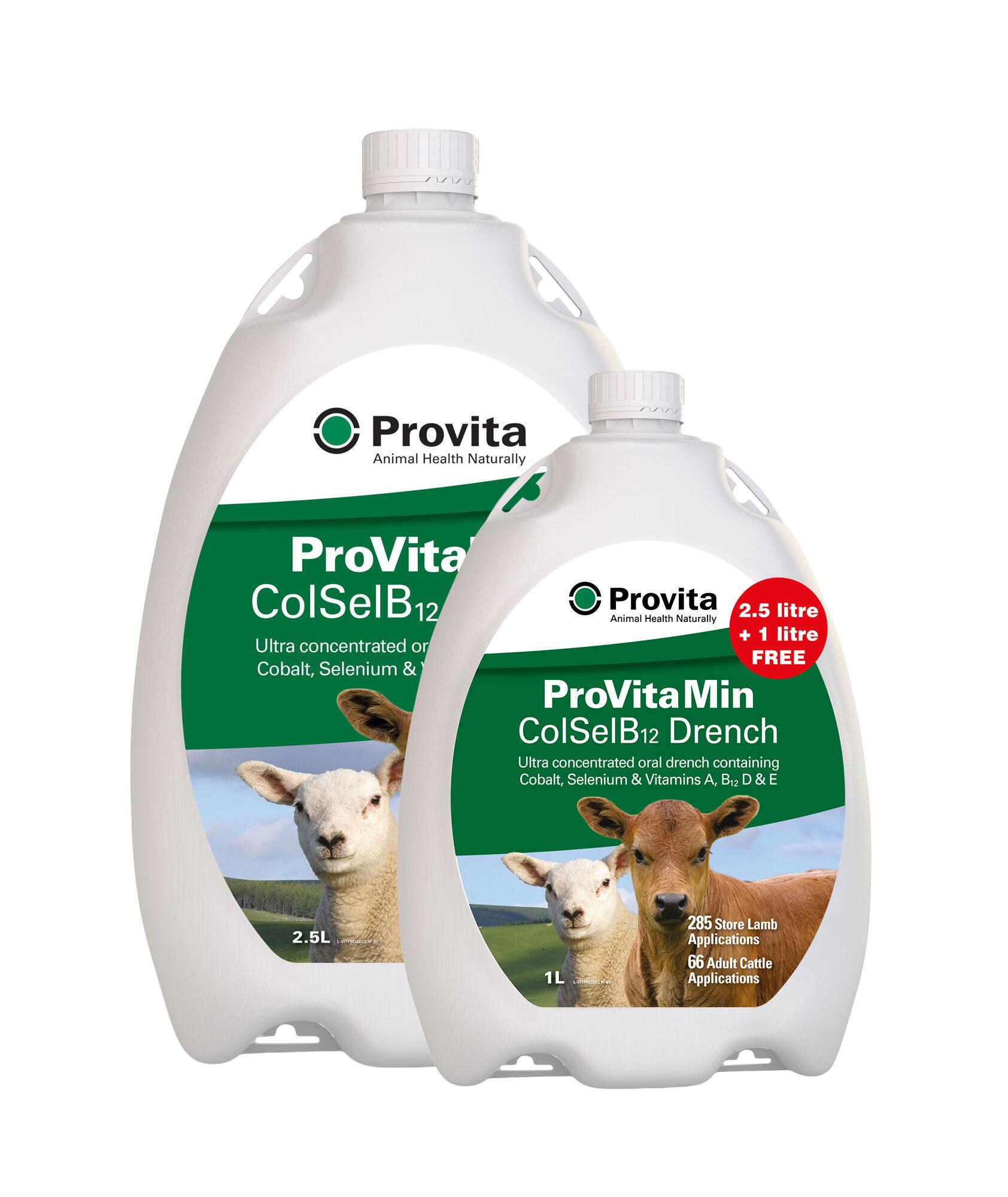 goat drench injectable b12 Provita ProVitaMin ColSelB12 B12 injections 💉 £40