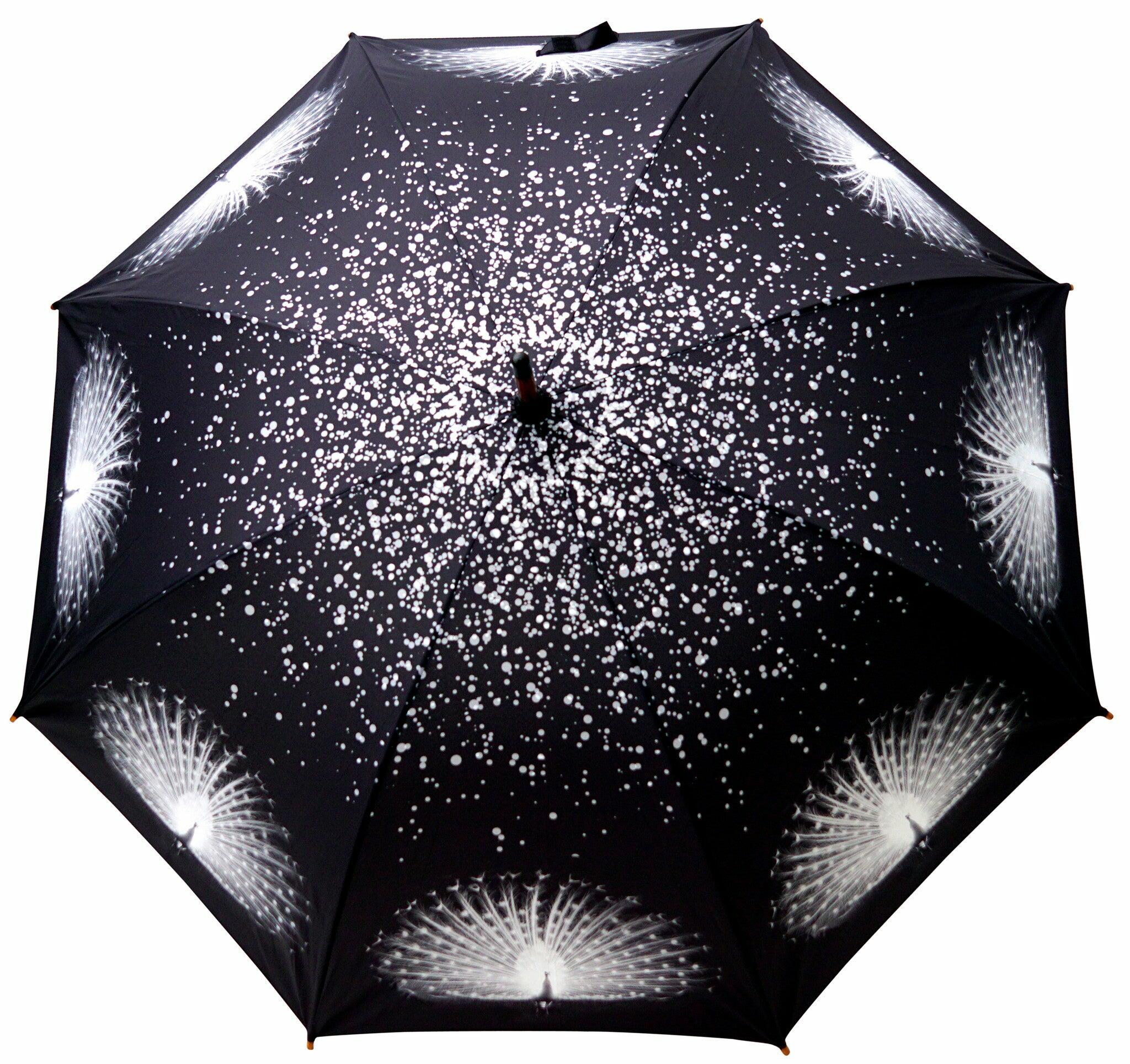 Albino Peacock Umbrella - Blooms of London - Designs inspired by nature