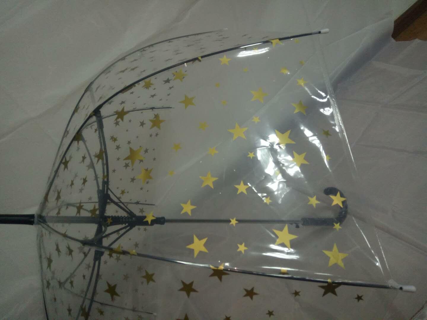 Gold Stars Print Transparent Umbrella - Blooms of London - Designs inspired by nature