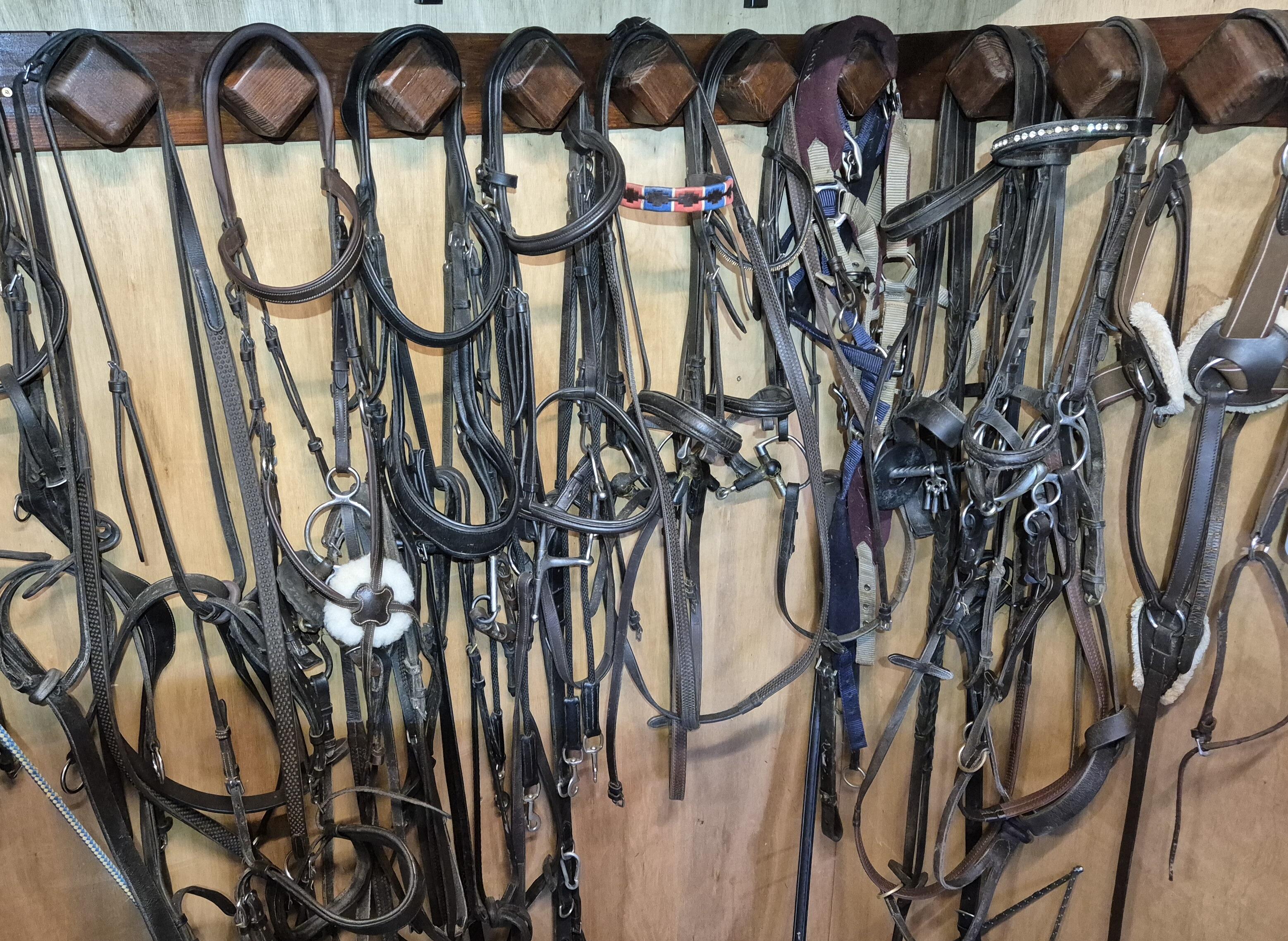 Brdle Rack Bridle rack